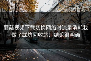 蘑菇视频下载切换网络时流量消耗我做了踩坑回收站：结论很明确